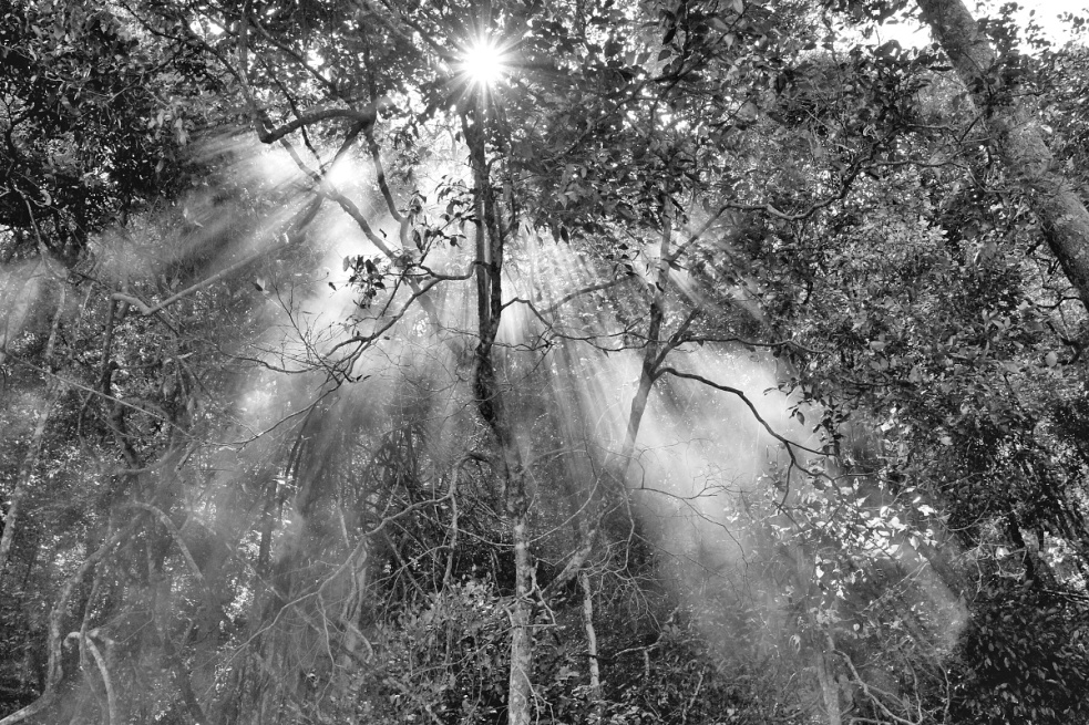 Jan Svatoš the “Photographing Director”: Film Fascinates Me; Digital Steals No Souls, But Eats Time