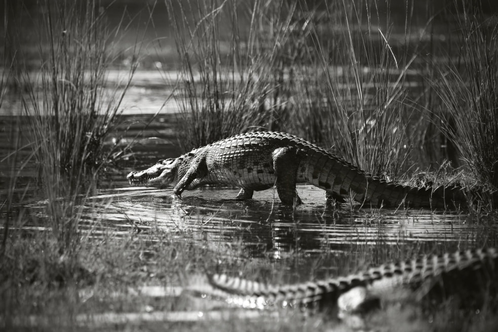 Jan Svatoš the “Photographing Director”: Film Fascinates Me; Digital Steals No Souls, But Eats Time