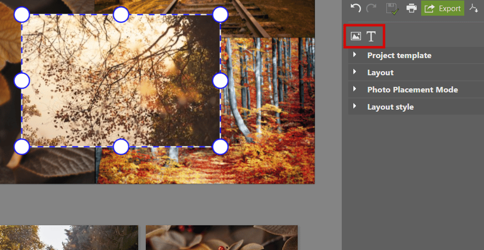 Design Your Own Collage in ZPS X