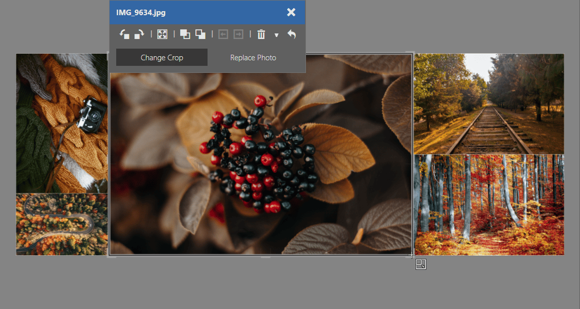 Design Your Own Collage in Zoner Studio