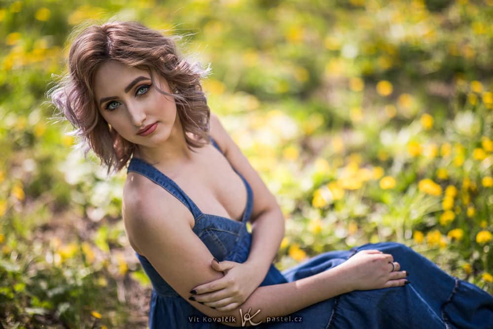 Foundations of Portrait Composition Part - girl in blue dress in field, photo taken from above