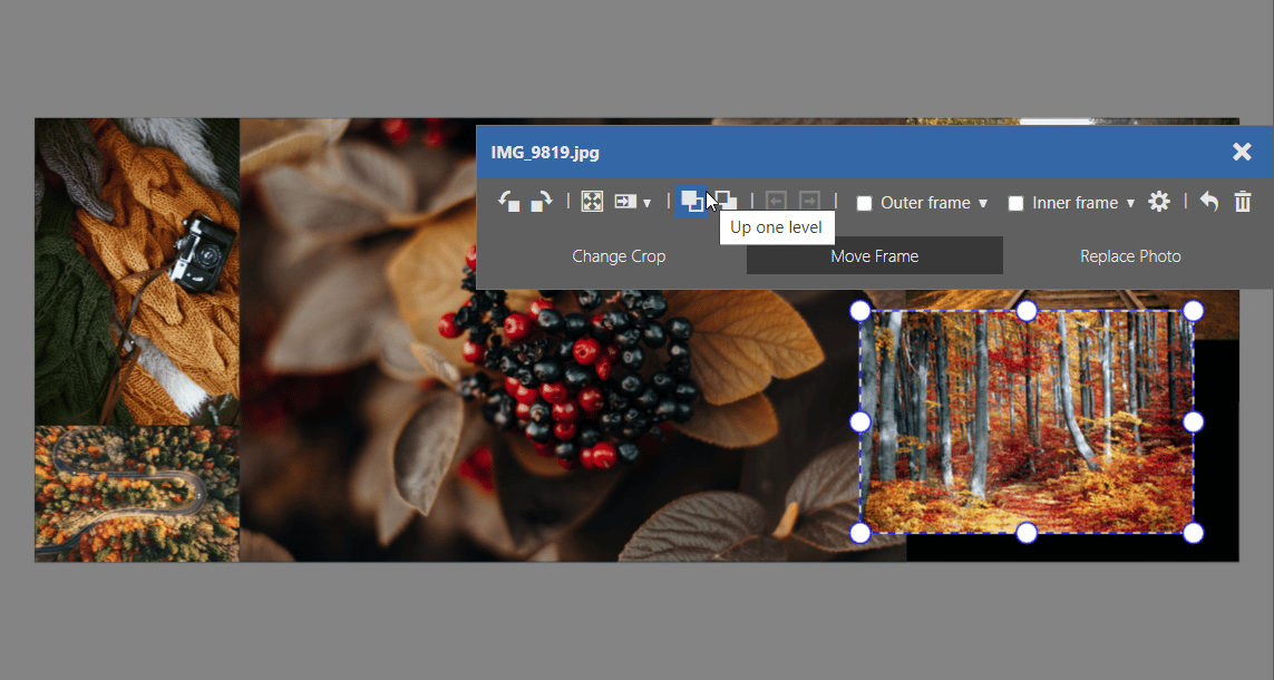 Design Your Own Collage in Zoner Studio