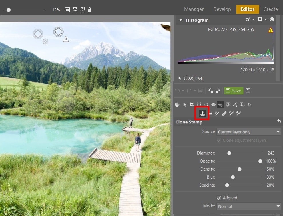Guides for Editing Your Vacation Photos - clone stamp