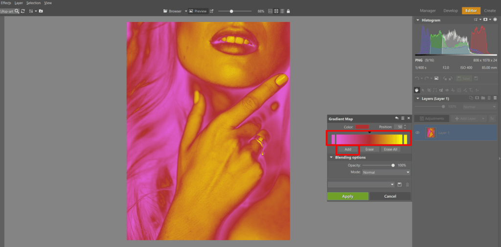 Create Your Own Pop Art Photo - increasing contrast