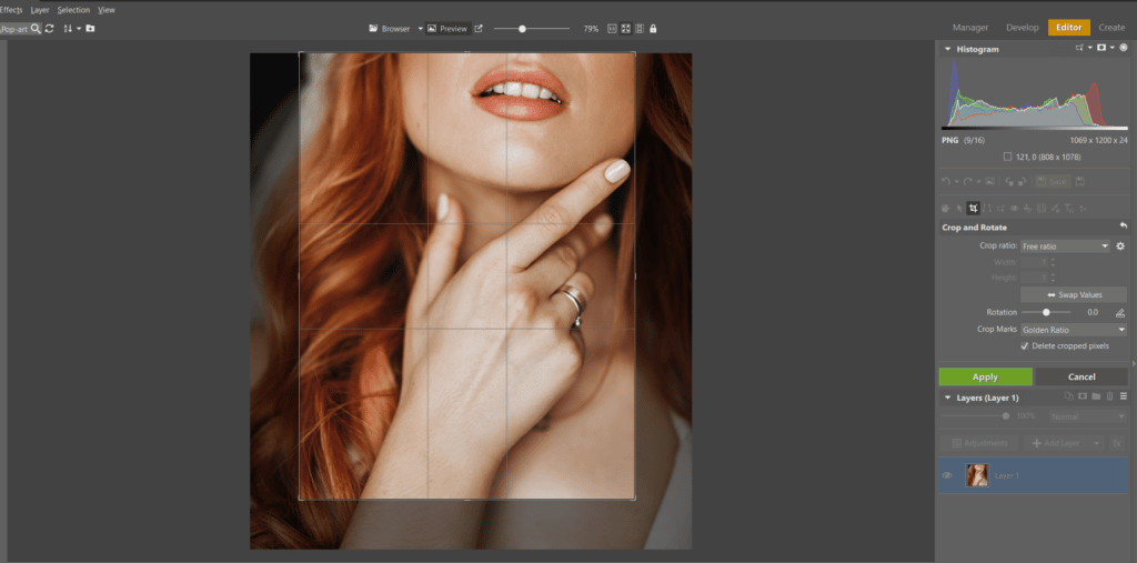 Create Your Own Pop Art Photo - cropping photo