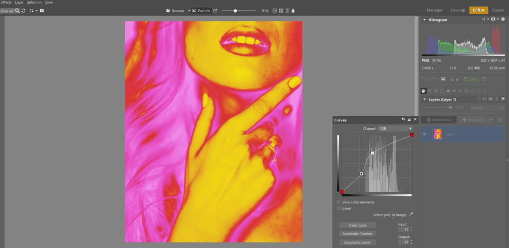 Create Your Own Pop Art Photo - colour curves