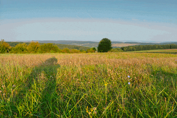 How Does a Landscape’s Light Change During One Day - landscape after sunrise