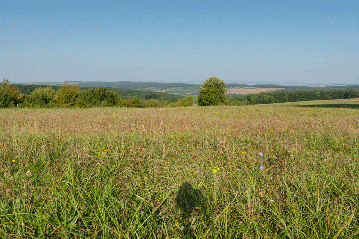 How Does a Landscape’s Light Change During One Day - during noon