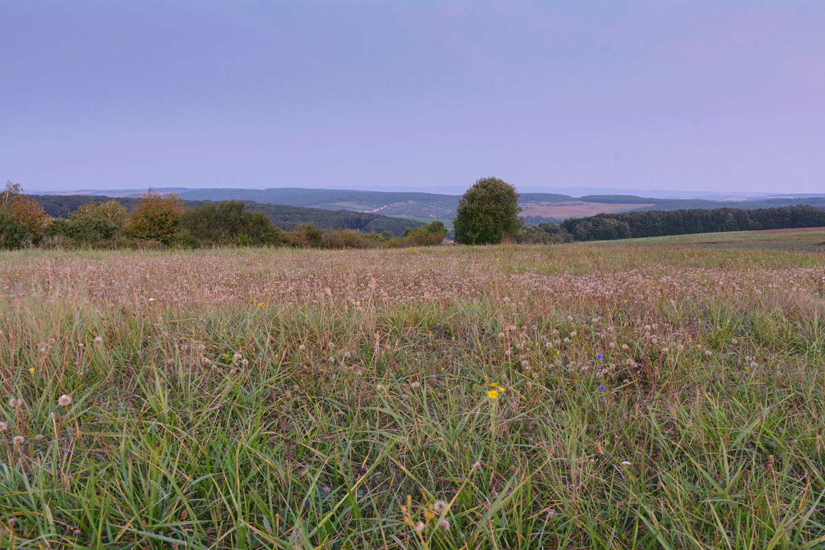 How Does a Landscape’s Light Change During One Day - during sunrise