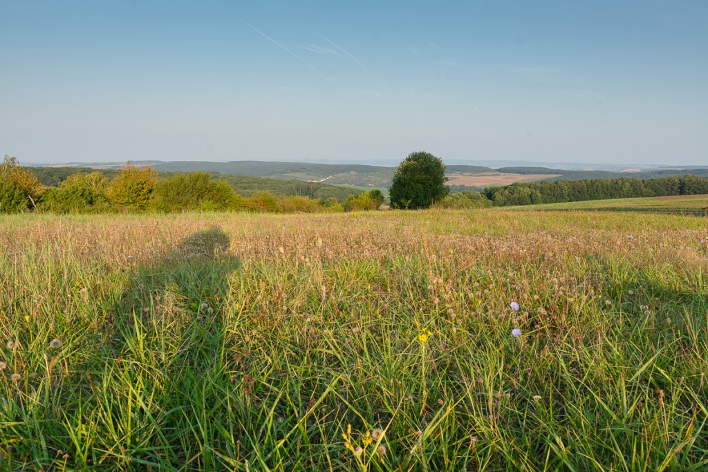 How Does a Landscape’s Light Change During One Day - little longer after sunrise