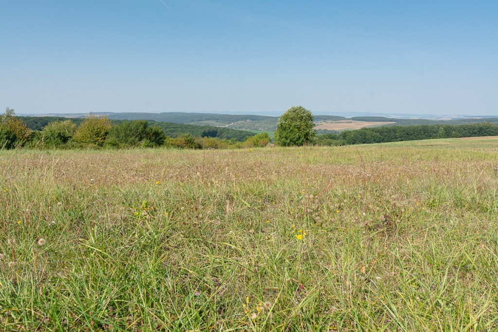 How Does a Landscape’s Light Change During One Day - landscape after noon