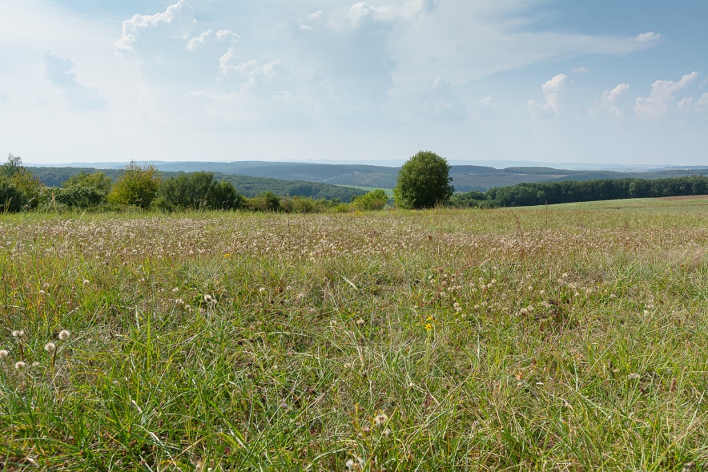 How Does a Landscape’s Light Change During One Day - landscape covered byclouds