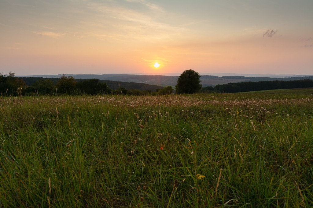 How Does a Landscape’s Light Change During One Day - sunset