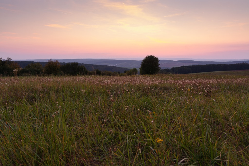 How Does a Landscape’s Light Change During One Day - after sunset