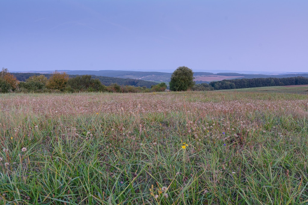 How Does a Landscape’s Light Change During One Day - before sunrise