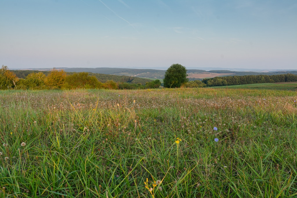 How Does a Landscape’s Light Change During One Day - right before sunrise