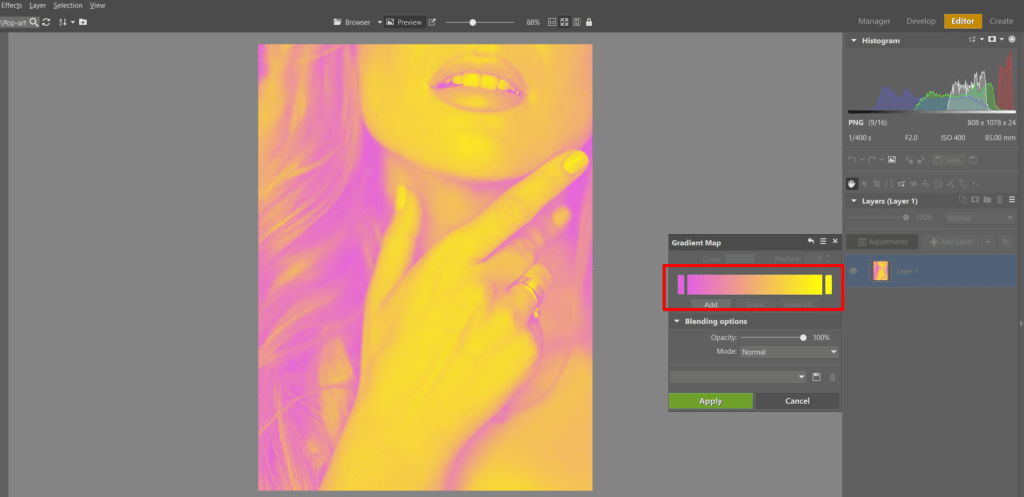 Create Your Own Pop Art Photo - setting up two-tone