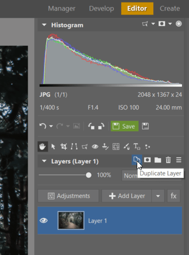 How to Get Perfect Symmetry - duplicating layer in ZPS