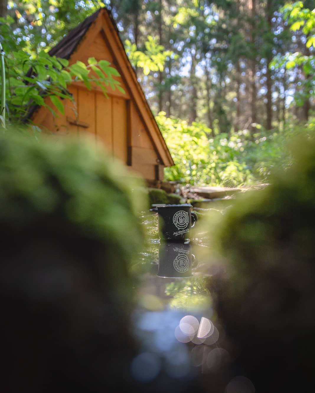From the Ground Up! Give Ant’s-Eye Photography a Try - wooden building