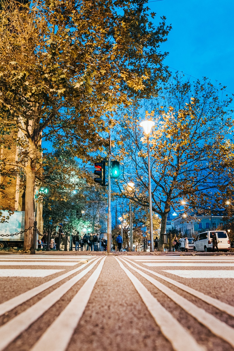 From the Ground Up! Give Ant’s-Eye Photography a Try - crosswalk