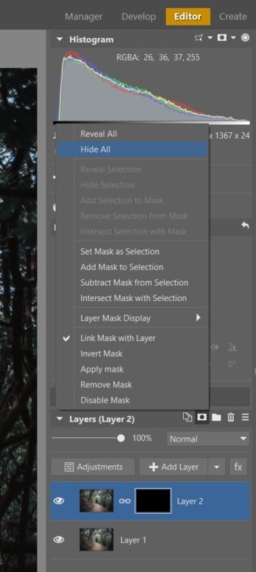How to Get Perfect Symmetry - adding mask in Zoner Studio