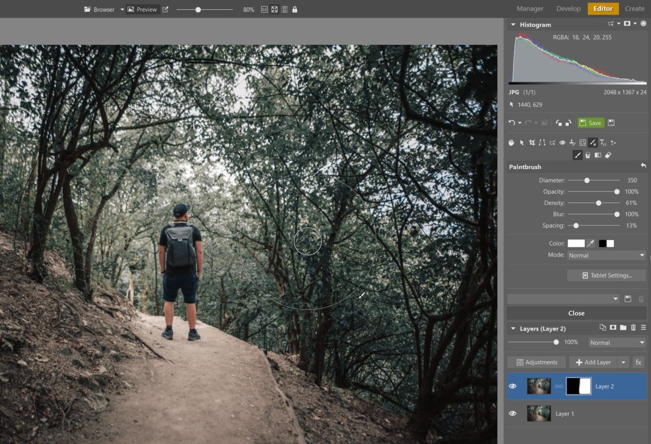 How to Get Perfect Symmetry - brush in Zoner Studio