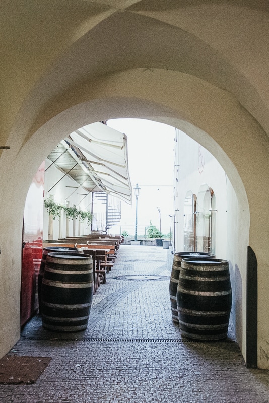 From the Ground Up! Give Ant’s-Eye Photography a Try