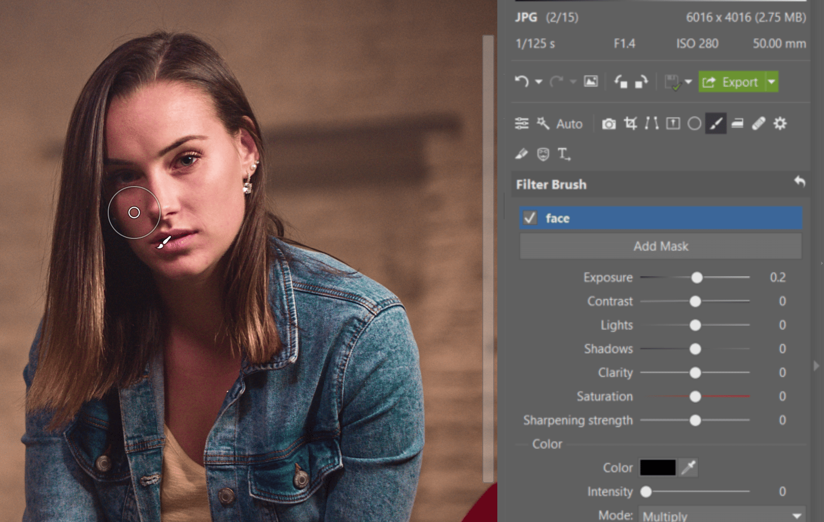 Try Editing a Nighttime Portrait - brush usage
