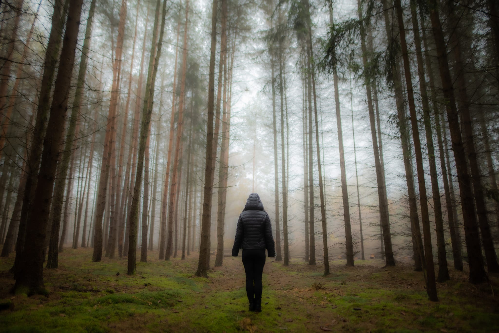 6 Edits You’ll Do Better to Avoid - person in a forest