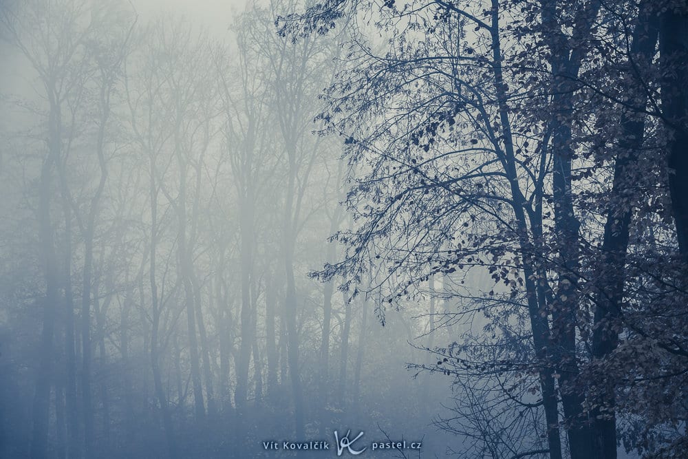 How to Photograph Foggy Landscapes
