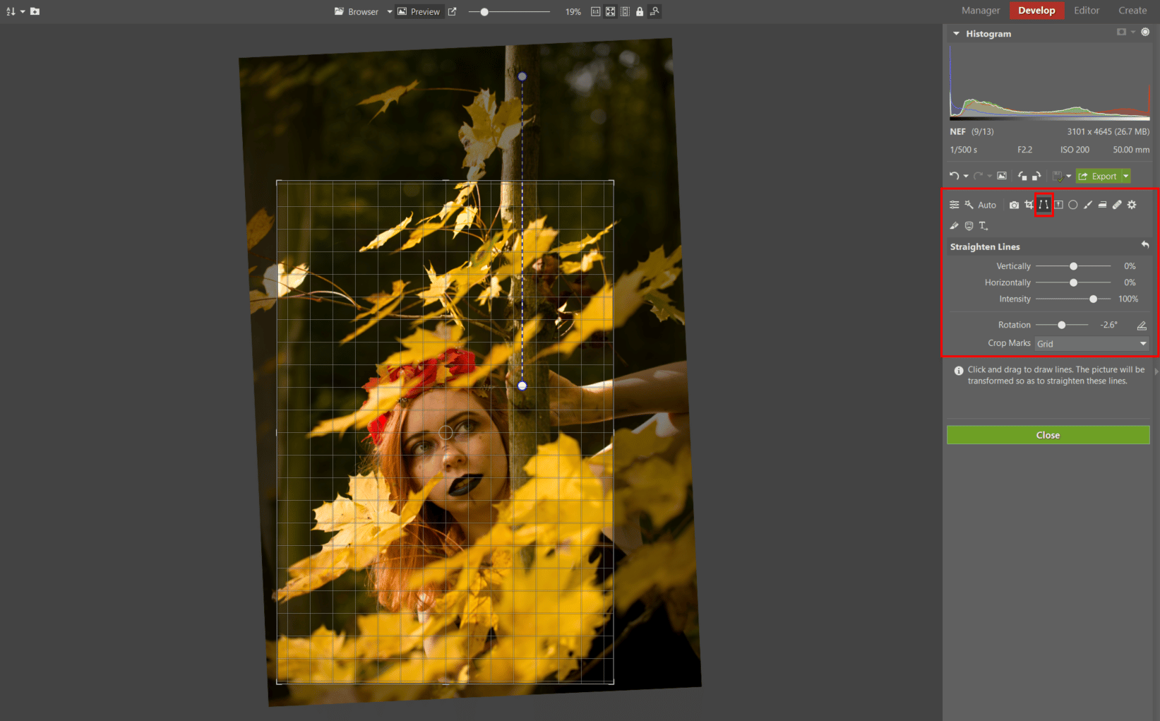 Developing an Autumn Portrait Step by Step - cropping and balancing photo