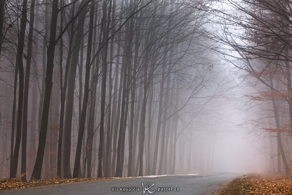 How to Photograph Foggy Landscapes