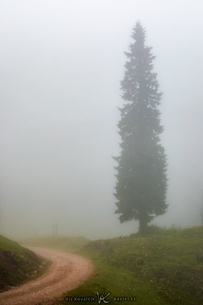 How to Photograph Foggy Landscapes