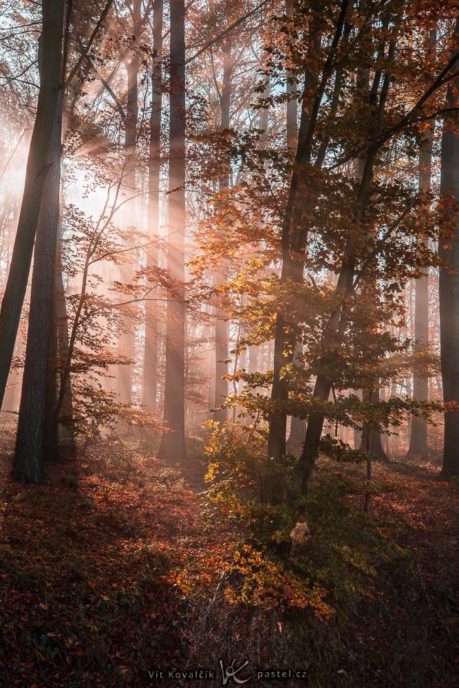 How to Photograph Foggy Landscapes
