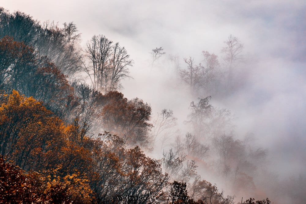 How to Photograph Foggy Landscapes