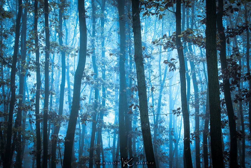 How to Photograph Foggy Landscapes