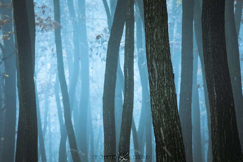 How to Photograph Foggy Landscapes