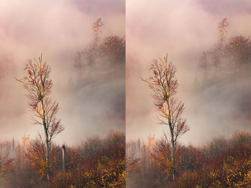 How to Photograph Foggy Landscapes