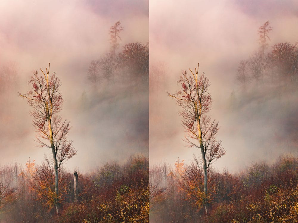 How to Photograph Foggy Landscapes