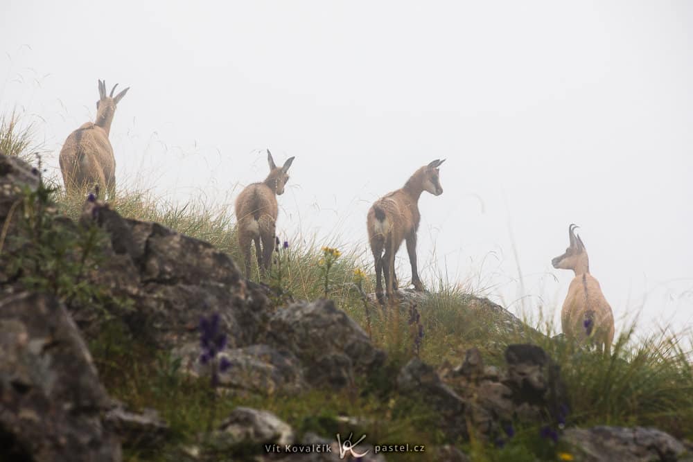 How to Photograph Foggy Landscapes
