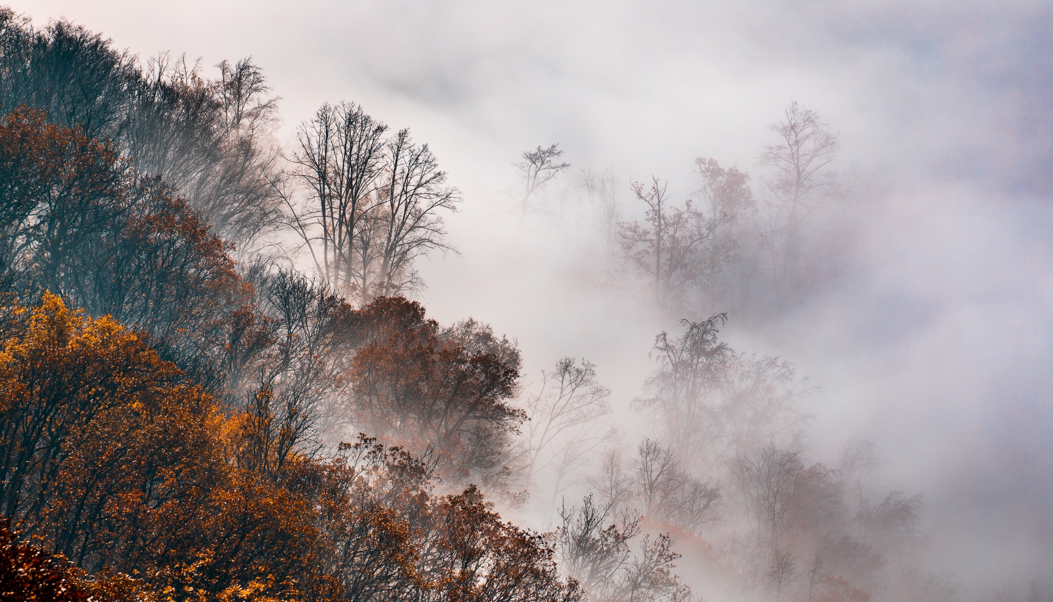 Images Of Fog