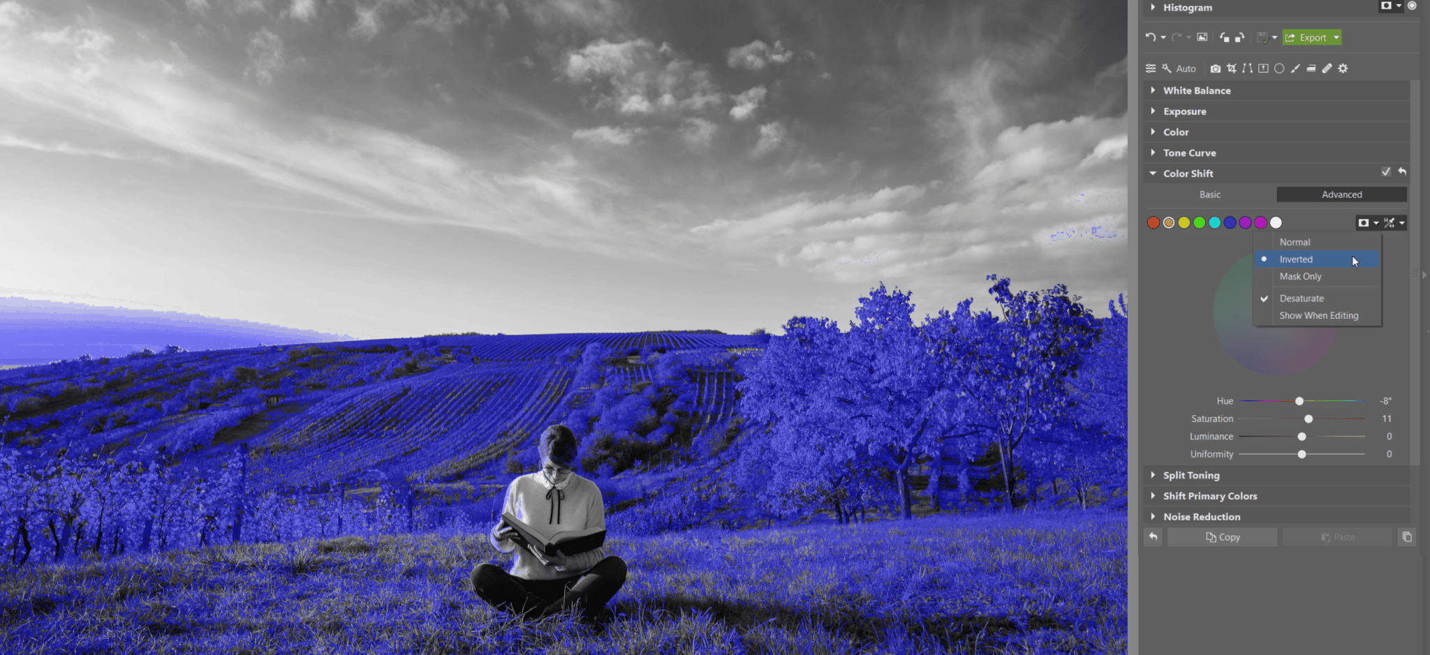 Color Shift: Get Absolute Control Over Your Photos’ Colors | Learn ...