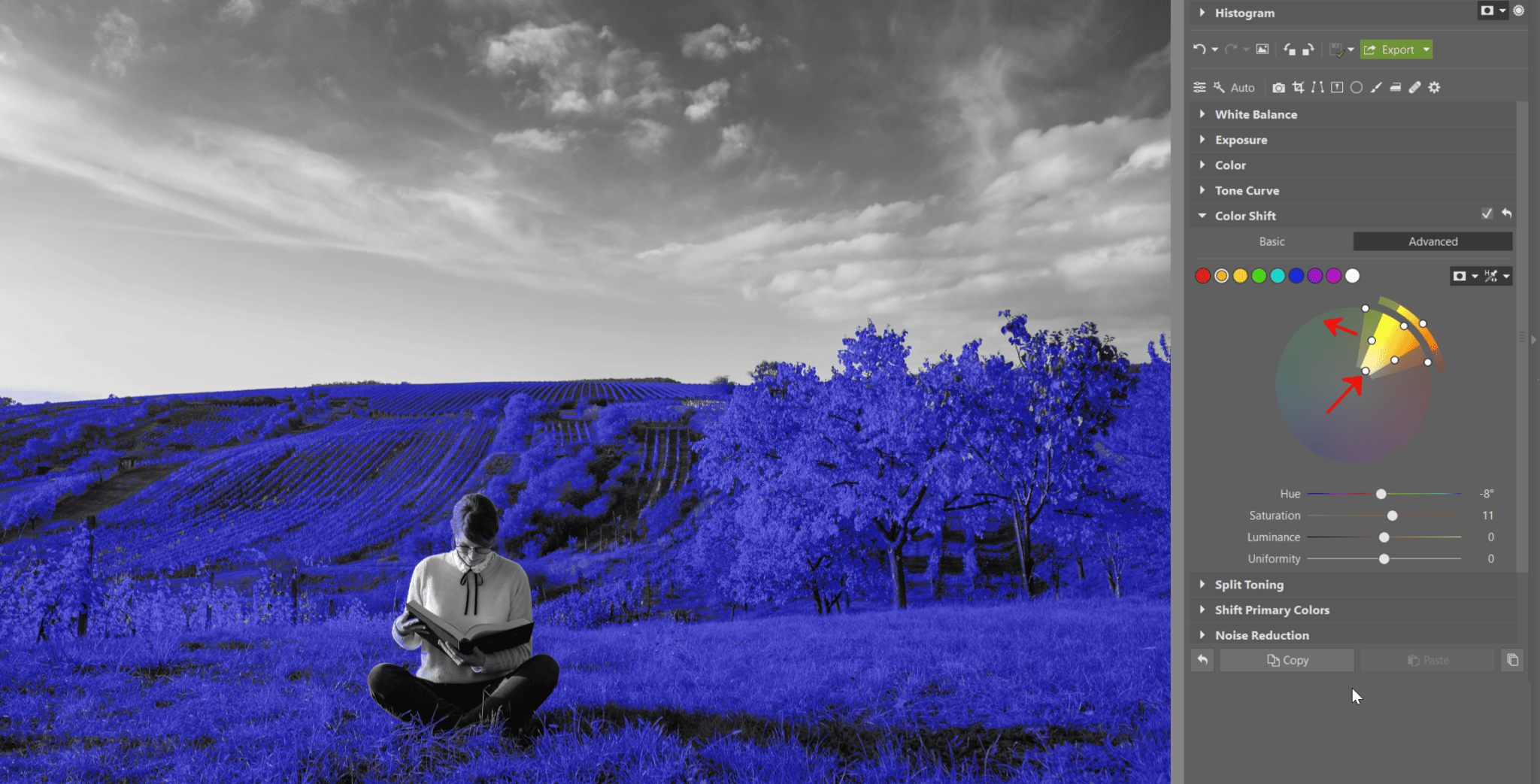 Color Shift: Get Absolute Control Over Your Photos’ Colors | Learn ...