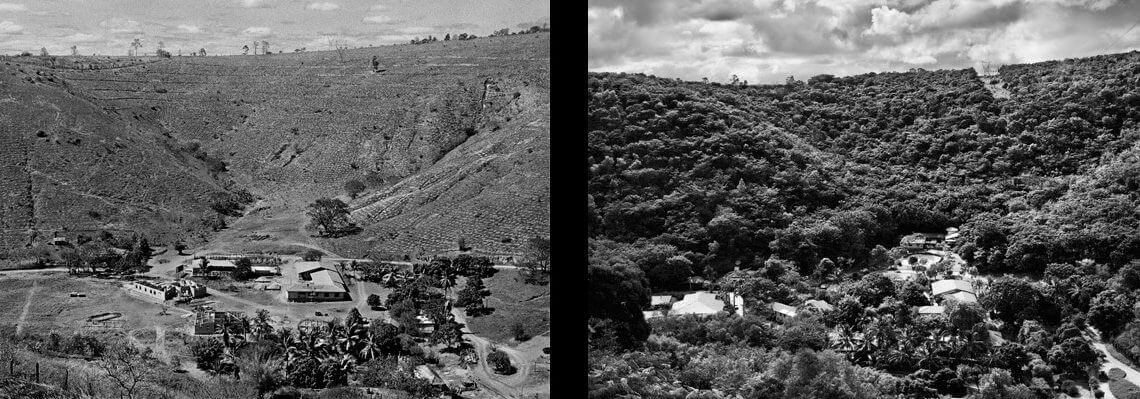 6 Ways the Life and Photos of Sebastião Salgado Will Stun You