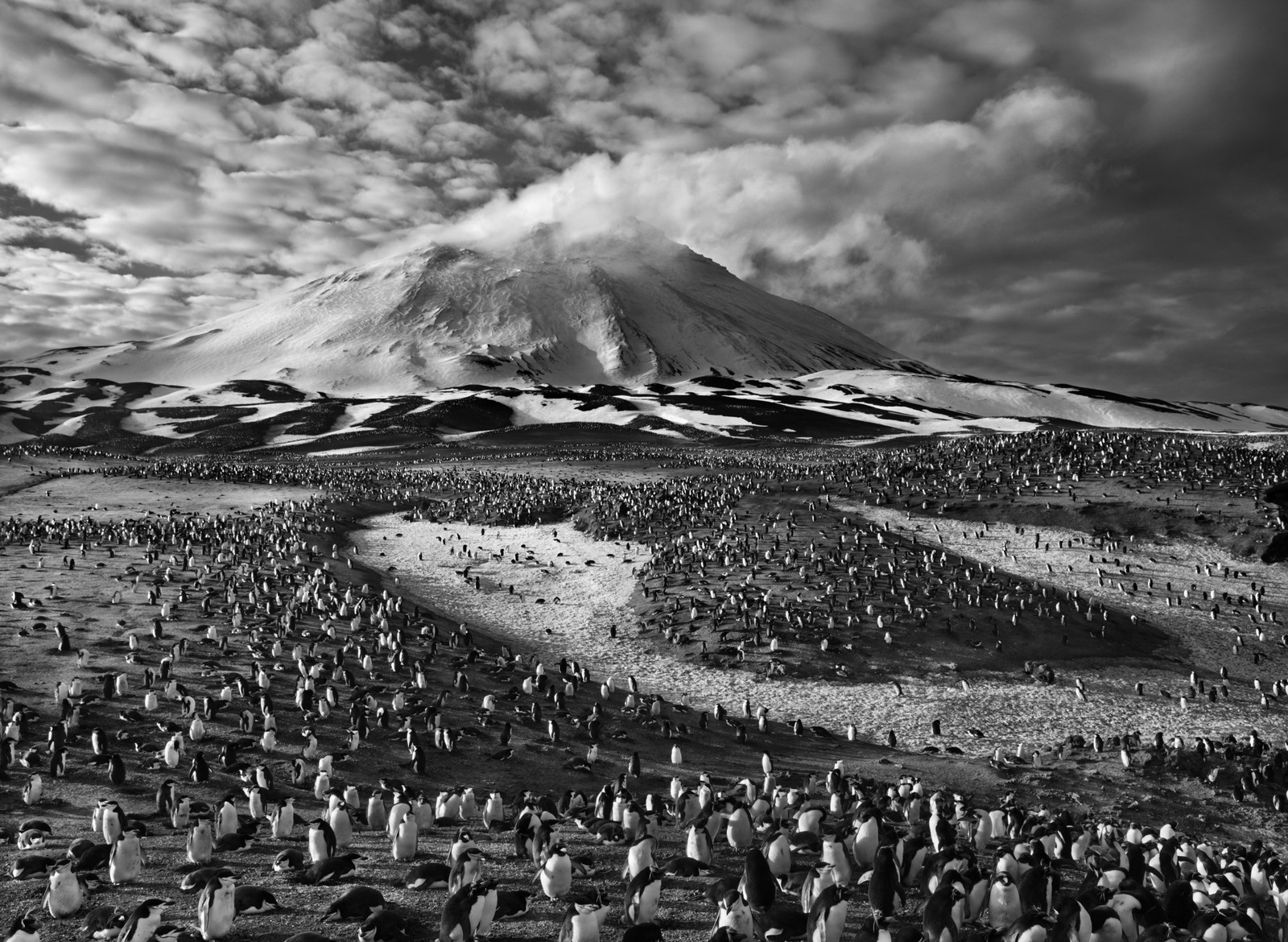 6 Ways the Life and Photos of Sebastião Salgado Will Stun You