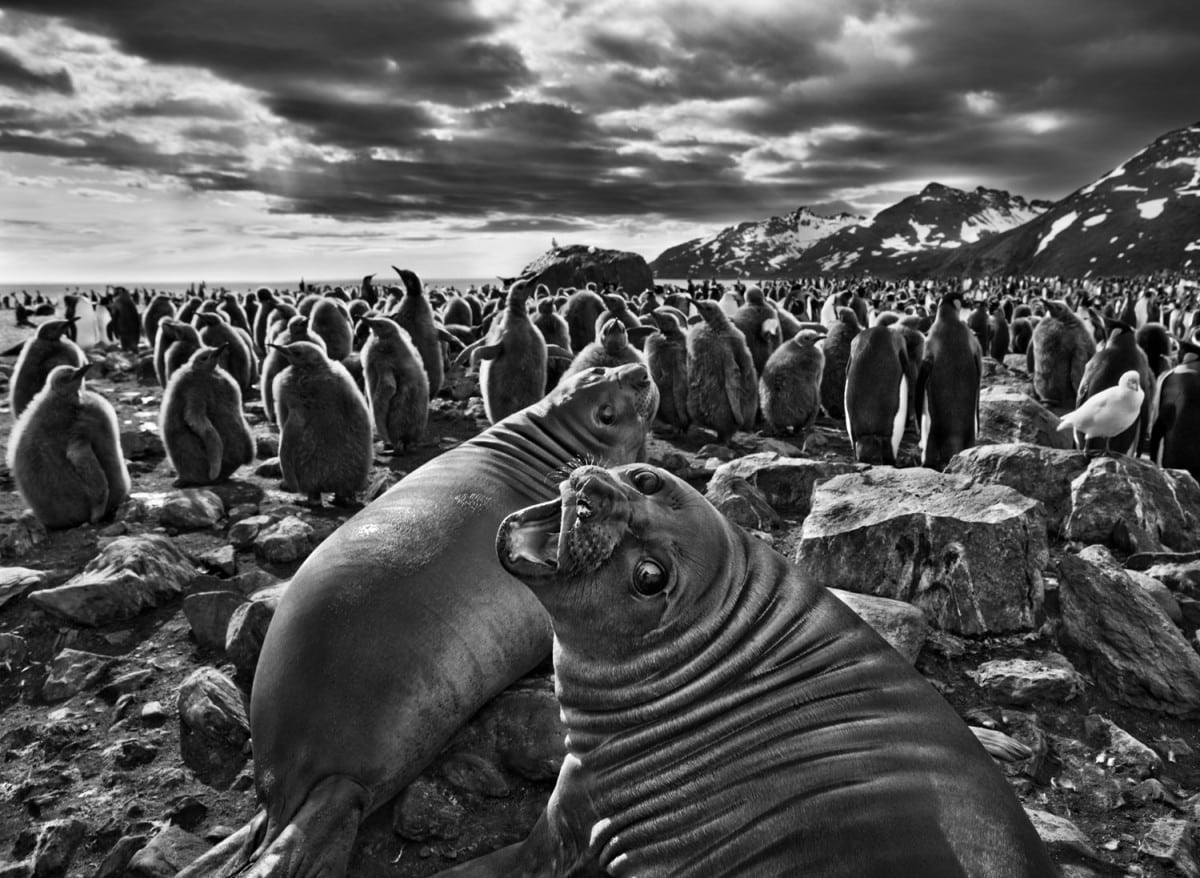 6 Ways the Life and Photos of Sebastião Salgado Will Stun You