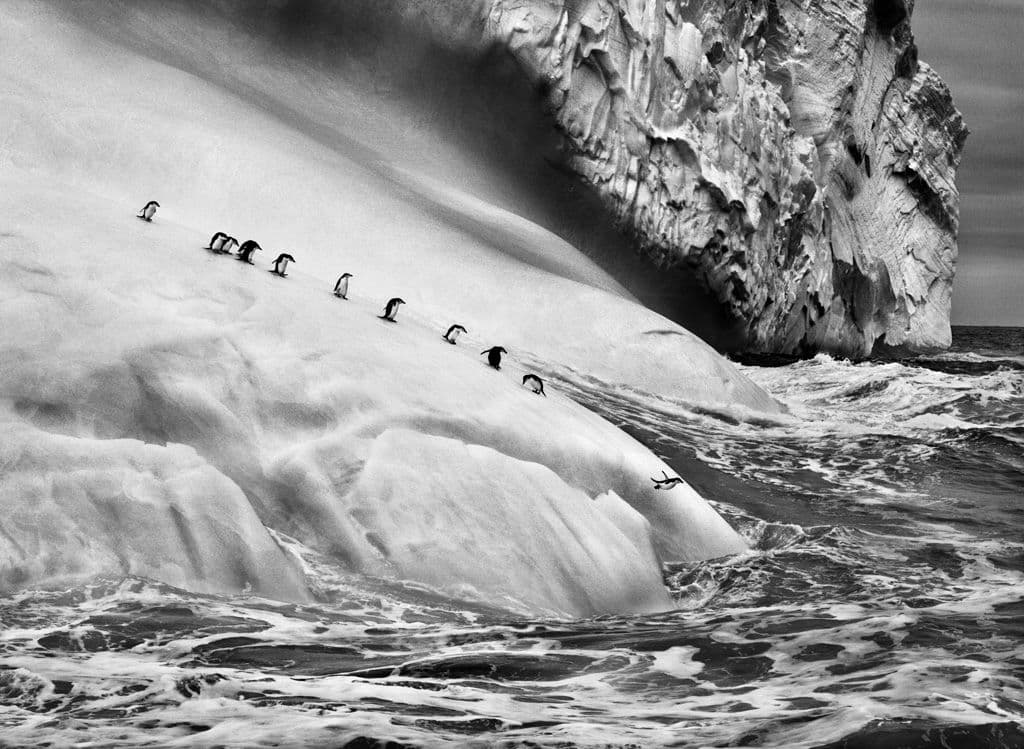 6 Ways the Life and Photos of Sebastião Salgado Will Stun You