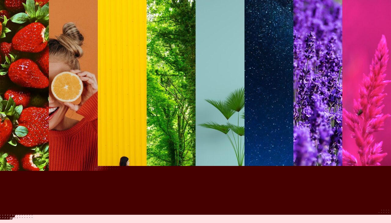 Our Spring Update to Zoner Photo Studio X: Smarter Work With Colors—And Faster Work Overall