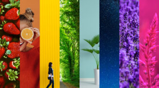 Our Spring Update to Zoner Photo Studio X: Smarter Work With Colors—And Faster Work Overall