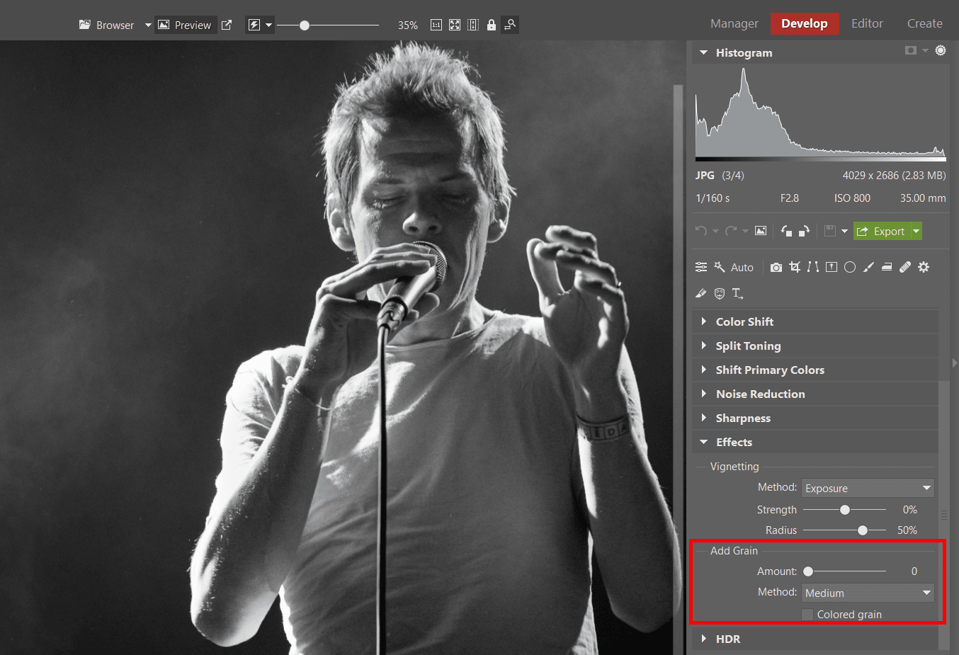 Two Ways to Add Grain to Your Black and White Photos